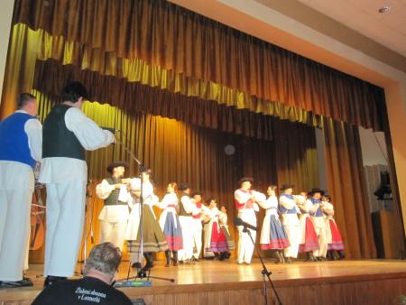 Območno srečanje odraslih folklornih skupin 2013 9